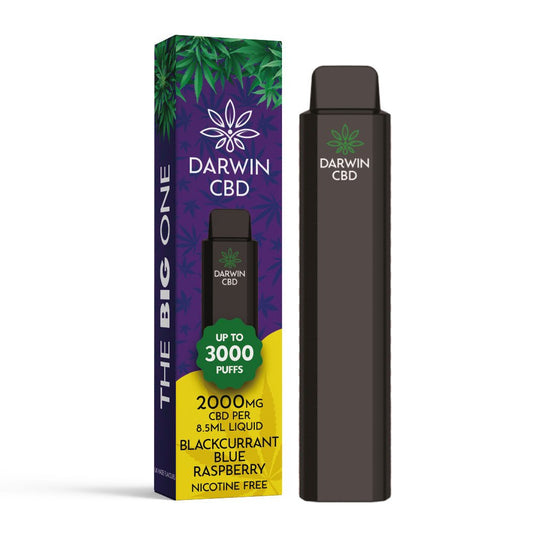 Darwin CBD 2000 - The Big One - Blackcurrant Blue Raspberry - PJW Vapes | Glasgow Vape Wholesaler