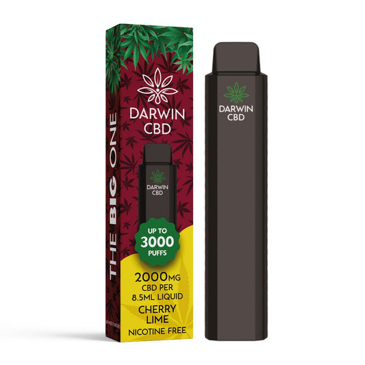 Darwin CBD 2000 - The Big One - Cherry Lime - PJW Vapes | Glasgow Vape Wholesaler
