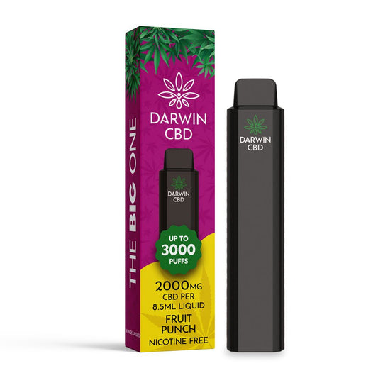 Darwin CBD 2000 - The Big One - Fruit Punch - PJW Vapes | Glasgow Vape Wholesaler