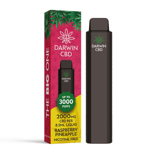 Darwin CBD 2000 - The Big One - Raspberry Pineapple - PJW Vapes | Glasgow Vape Wholesaler