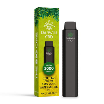 Darwin CBD 2000 - The Big One - Watermelon Ice - PJW Vapes | Glasgow Vape Wholesaler