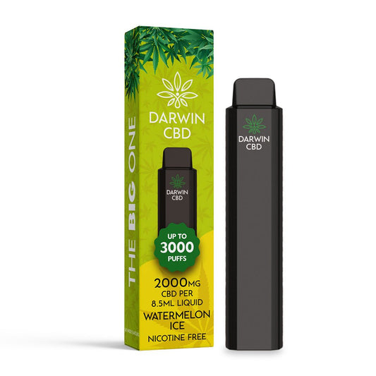 Darwin CBD 2000 - The Big One - Watermelon Ice - PJW Vapes | Glasgow Vape Wholesaler
