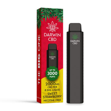 Darwin CBD 2000 - The Big One - Sweet Strawberry - PJW Vapes | Glasgow Vape Wholesaler
